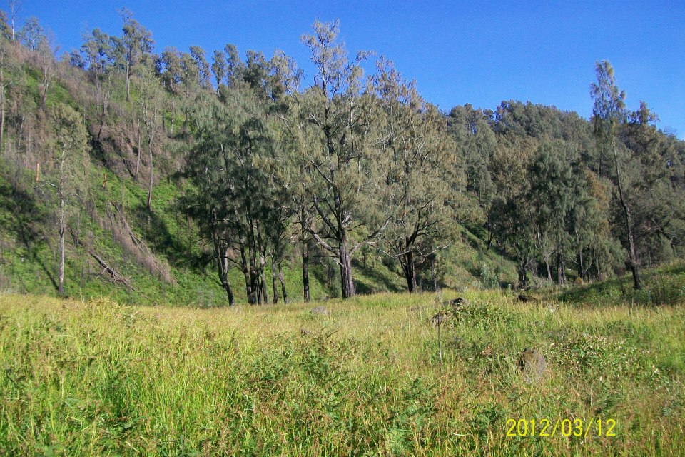 Lembah Kijang Arjuno
